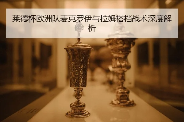 lai-de-bei-ou-zhou-dui-mai-ke-luo-yi-yu-la-mu-da-dang-zhan-shu-shen-du-jie-xi-3-233.jpg