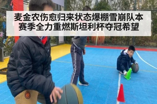麦金农伤愈归来状态爆棚雪崩队本赛季全力重燃斯坦利杯夺冠希望