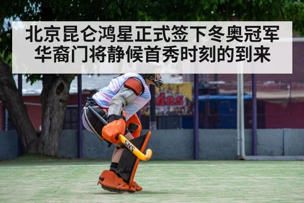 hockey goalkeeper save